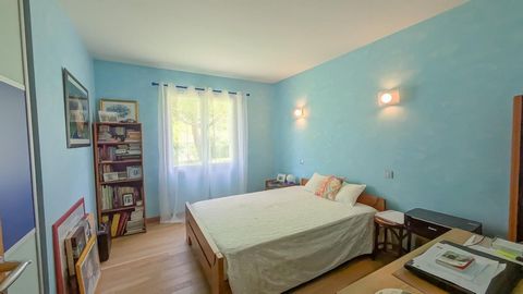 photo no. 11