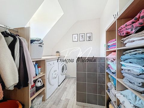 photo no. 10