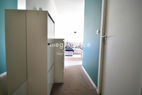 photo no. 4