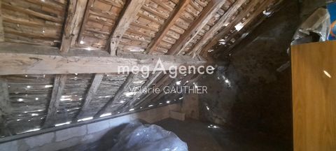 photo no. 16