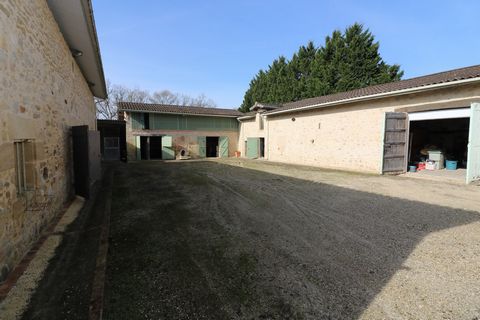 photo no. 12