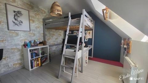 photo no. 13