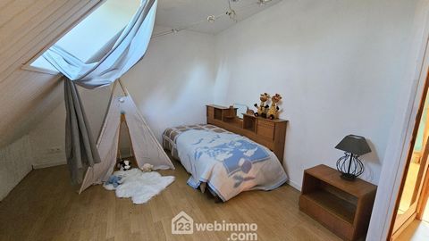 photo no. 13