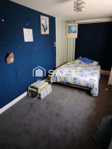 photo no. 11