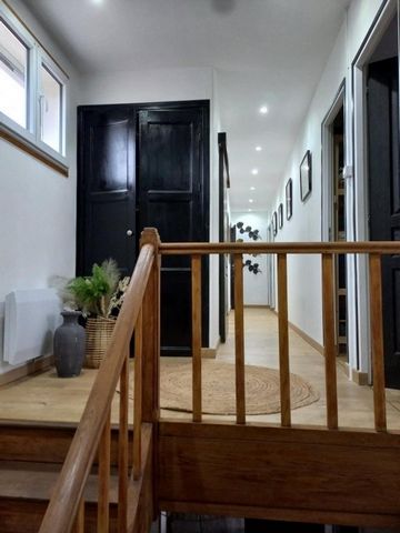photo no. 6
