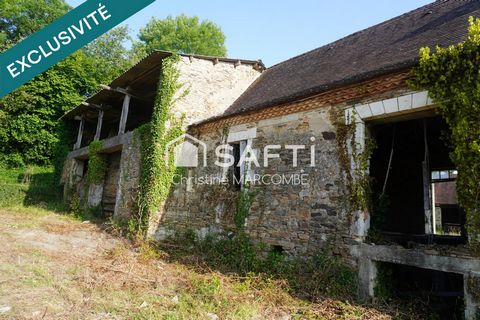 photo no. 13