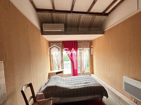 photo no. 7