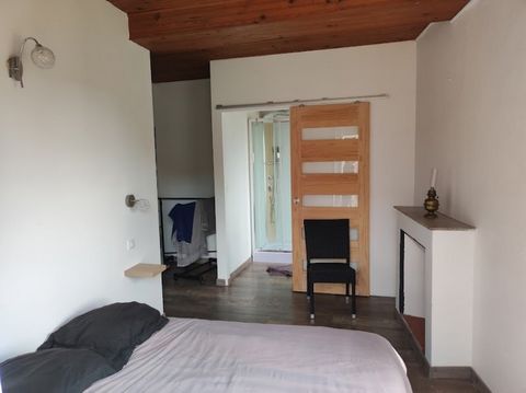 photo no. 12