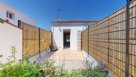 photo no. 11