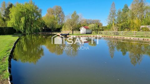 photo no. 10