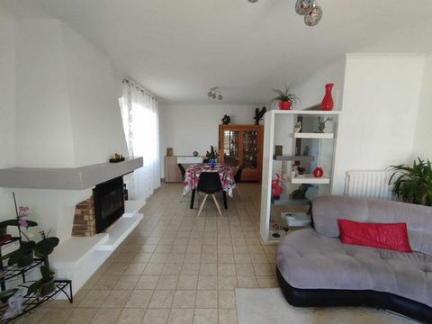 photo no. 10
