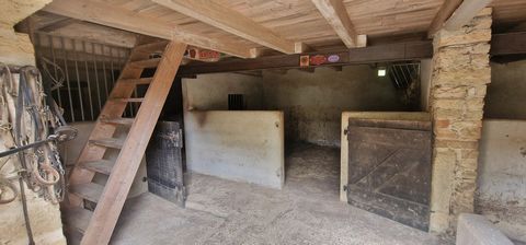 photo no. 9