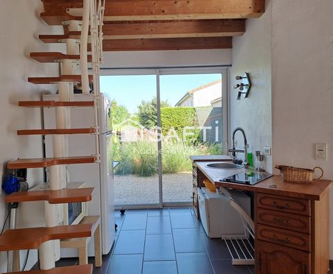 photo no. 14