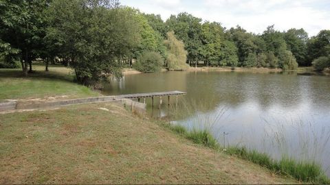 photo no. 5