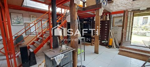 photo no. 12