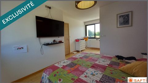 photo no. 11