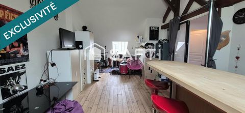 photo no. 13