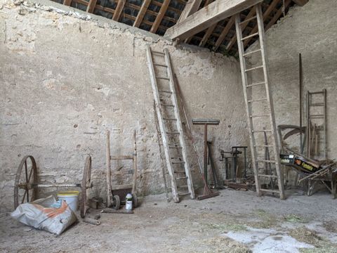 photo no. 4