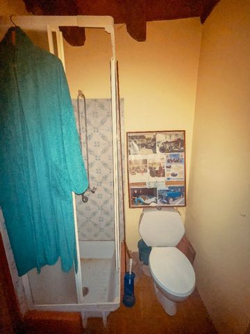 photo no. 12