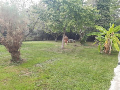 photo no. 12