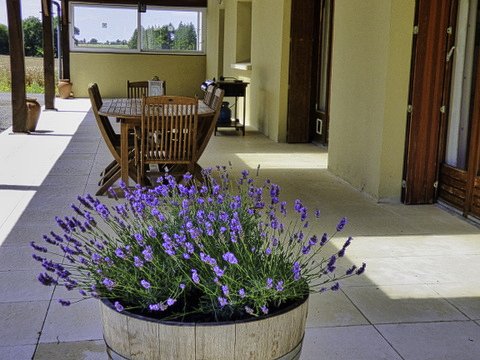 photo no. 13