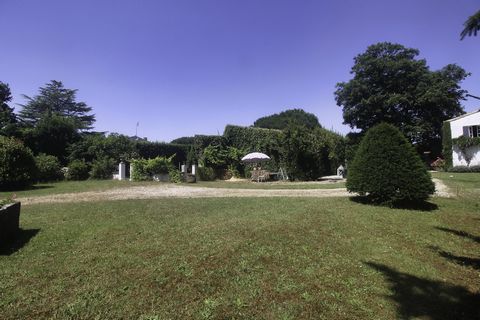 photo no. 14
