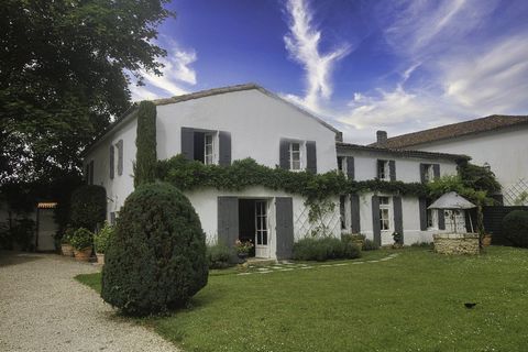 photo no. 19