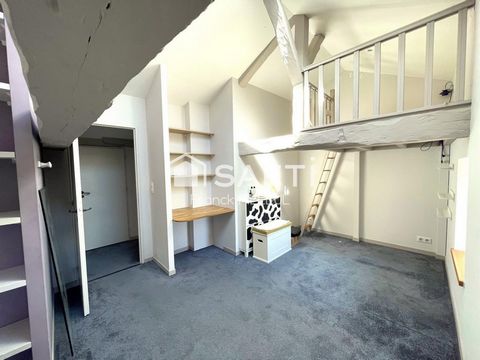 photo no. 8