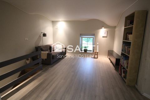 photo no. 16