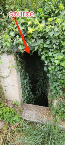 photo no. 5