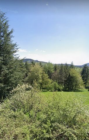 photo no. 2