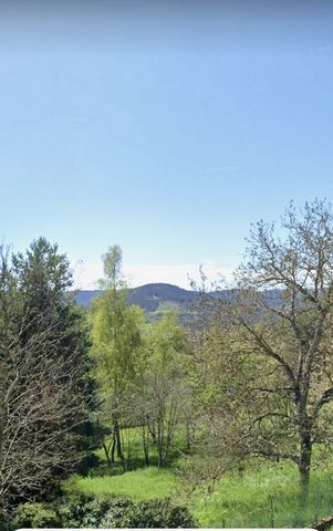 photo no. 5