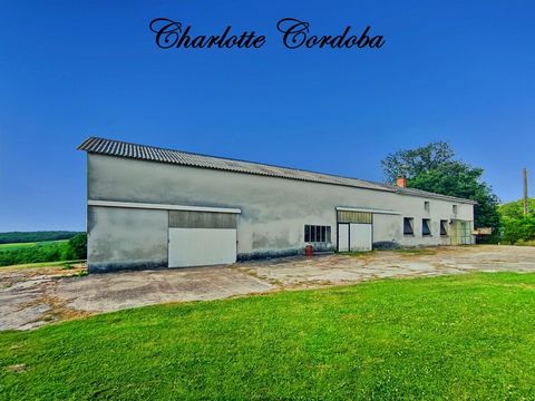 MONTAGNAC : Maison de caractère en pierre avec plus de 200 m² à aménager - Cachet rural et volumes à créer