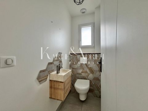 photo no. 12