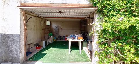 photo no. 9