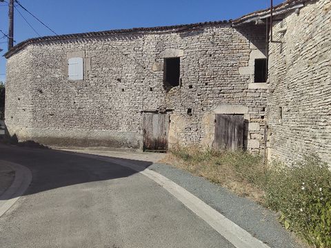 photo no. 1