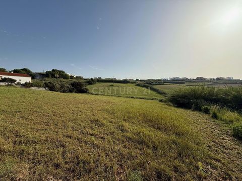 Apresento-lhe uma oportunidade única e estratégica para construtores e investidores! Este terreno com 7.880 m² urbanizáveis localizado em plena Rua da Bica, no coração da Lourinhã, com viabilidade para 22 fogos e um índice de construção de 80%. Este ...