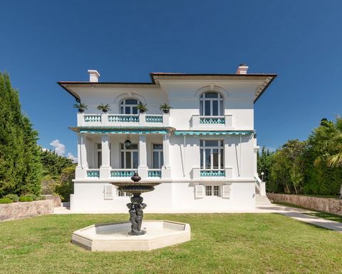photo no. 4