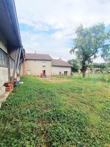 photo no. 5