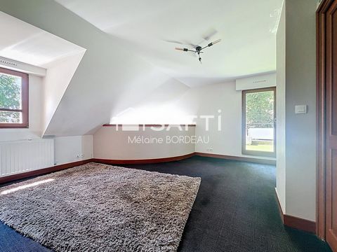 photo no. 12