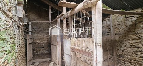 photo no. 11