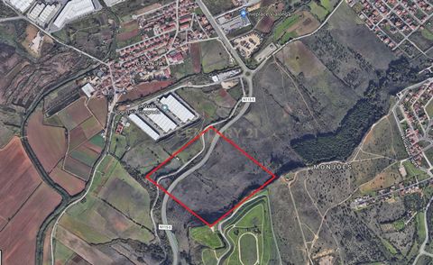 Terreno com 114.600 m2, junto ao Mercado Abastecedor Região de Lisboa (MARL), com óptimos acessos a Norte e Sul do país.