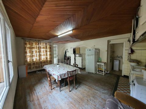 photo no. 4