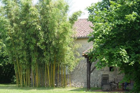 photo no. 15