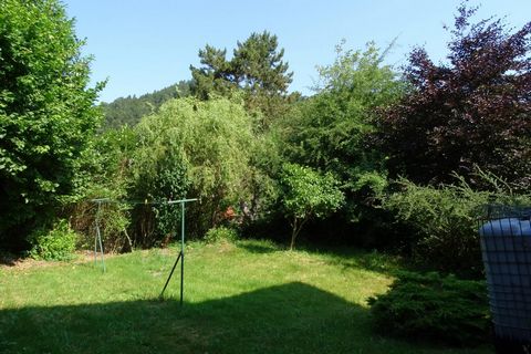 photo no. 10