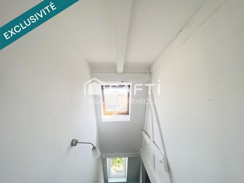 photo no. 7