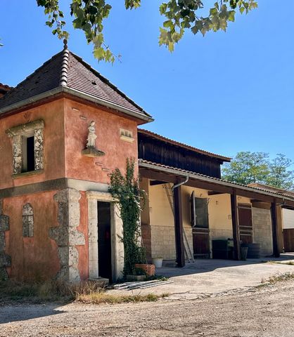 photo no. 6