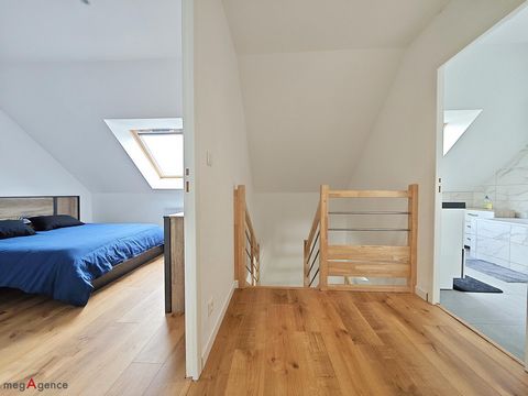 photo no. 6