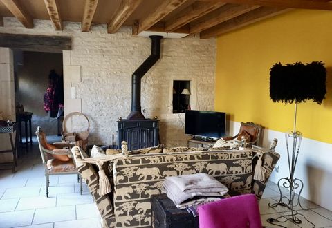 photo no. 19
