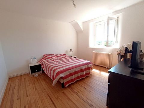 photo no. 8